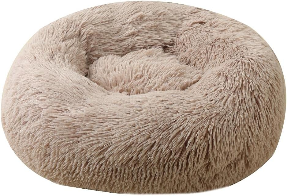 dog beds amazon