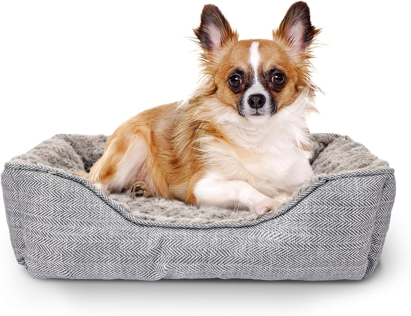 dog beds amazon