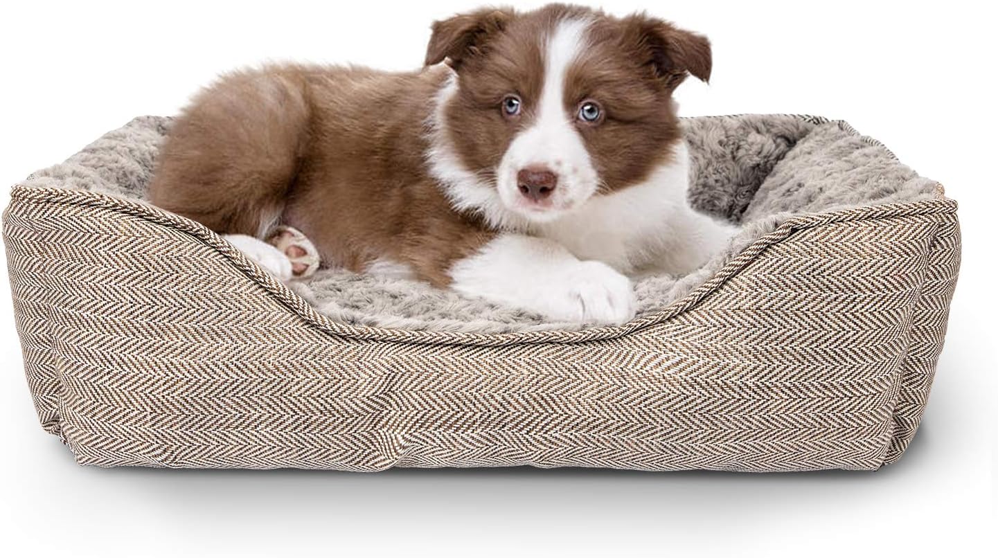 dog beds amazon