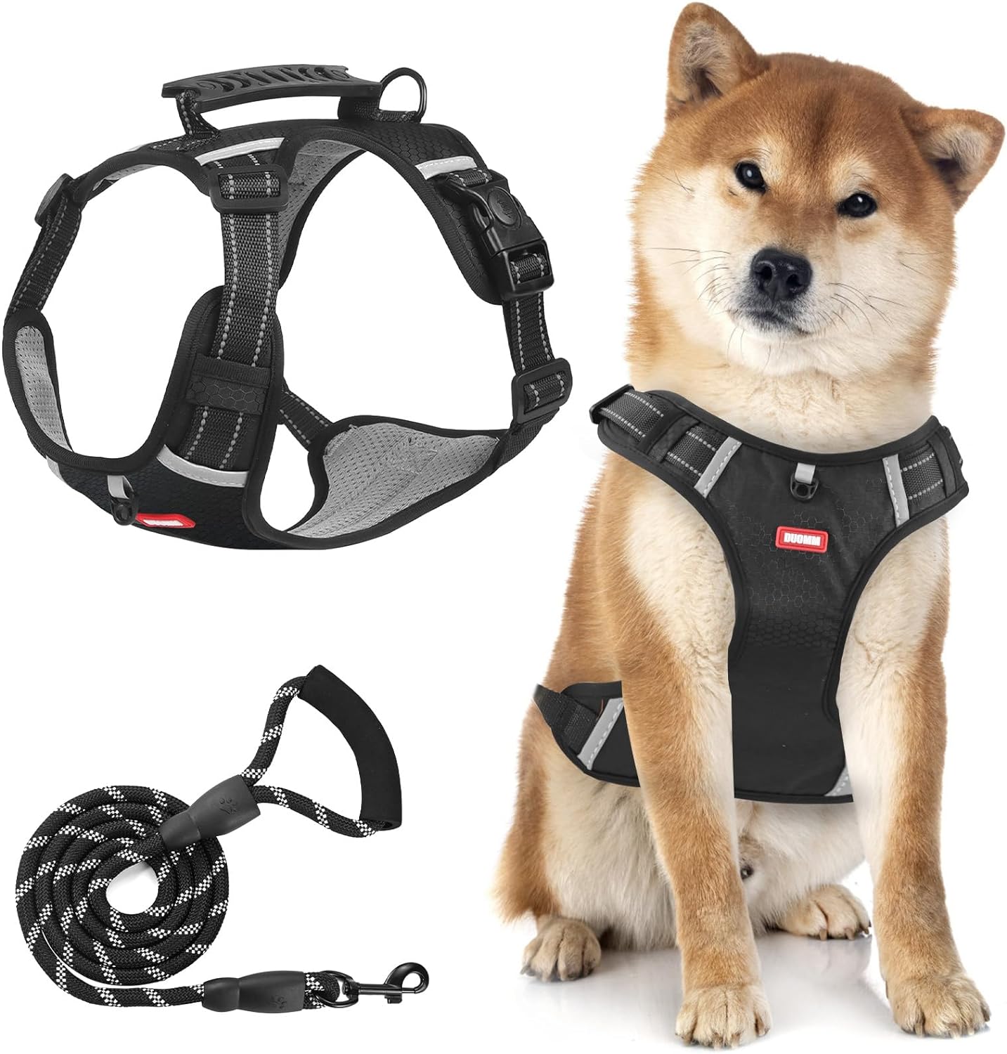 dog harness with name