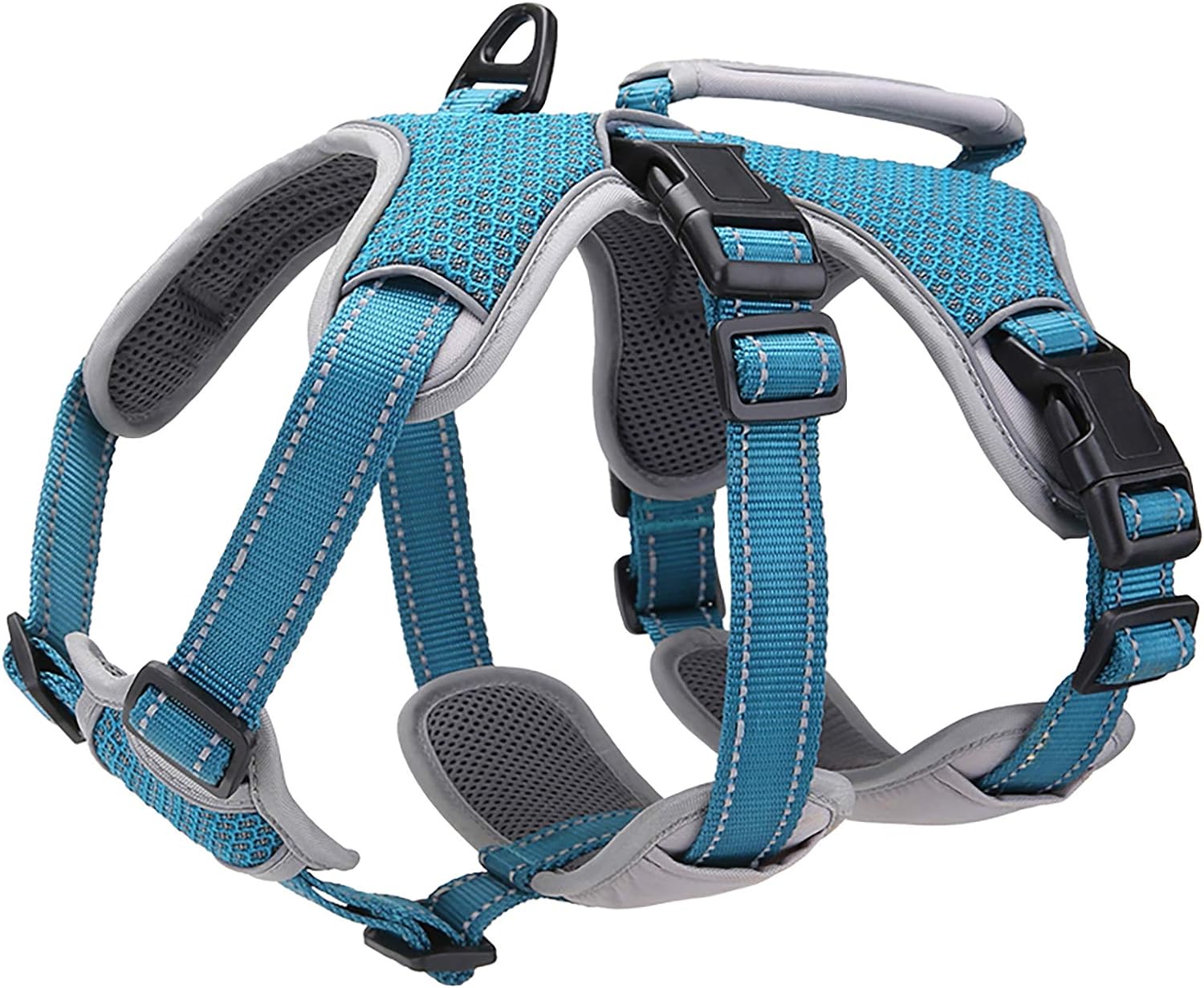 dog harness with name