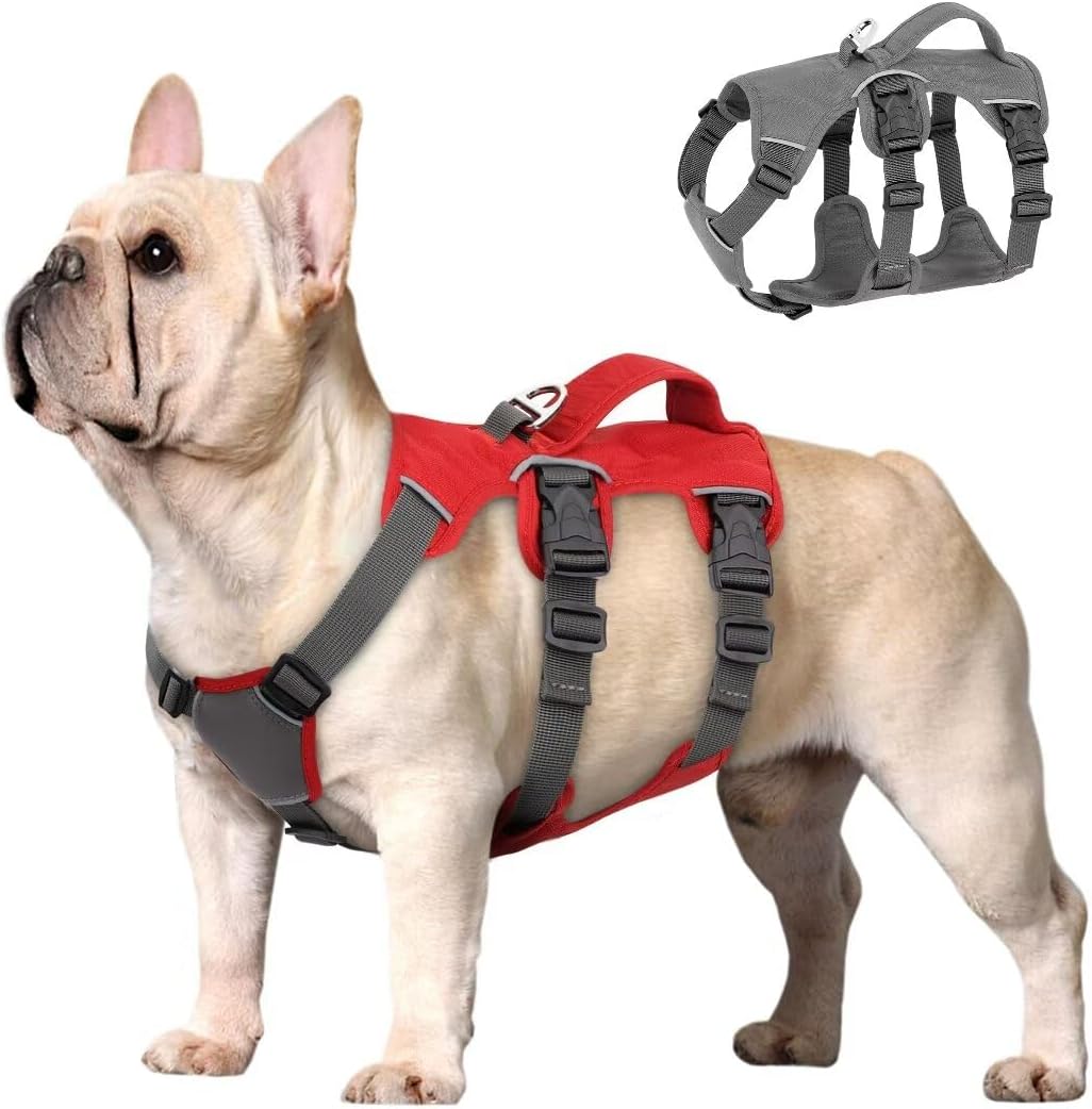 dog harness with name