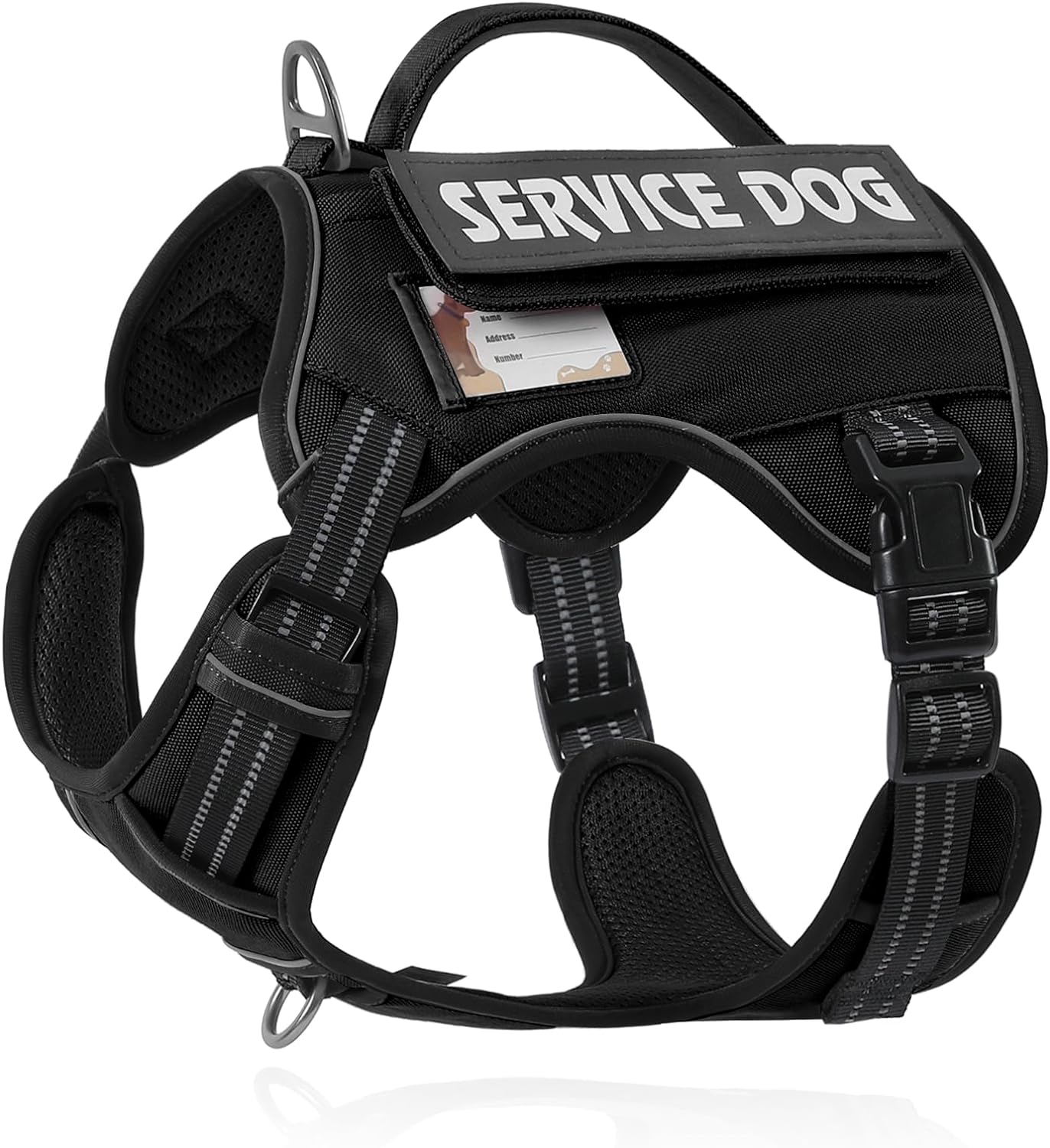 dog harness with name