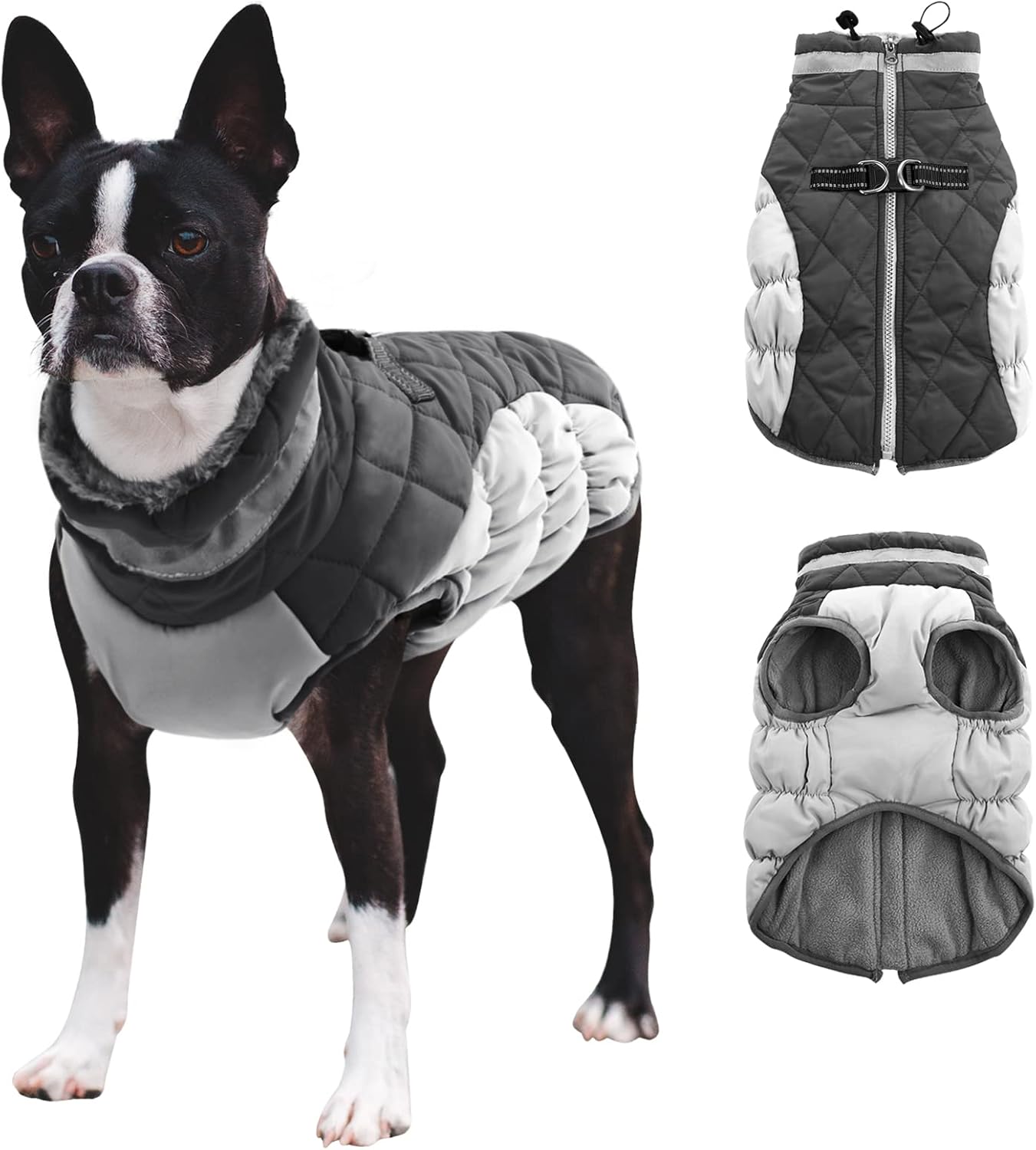 dog jackets waterproof