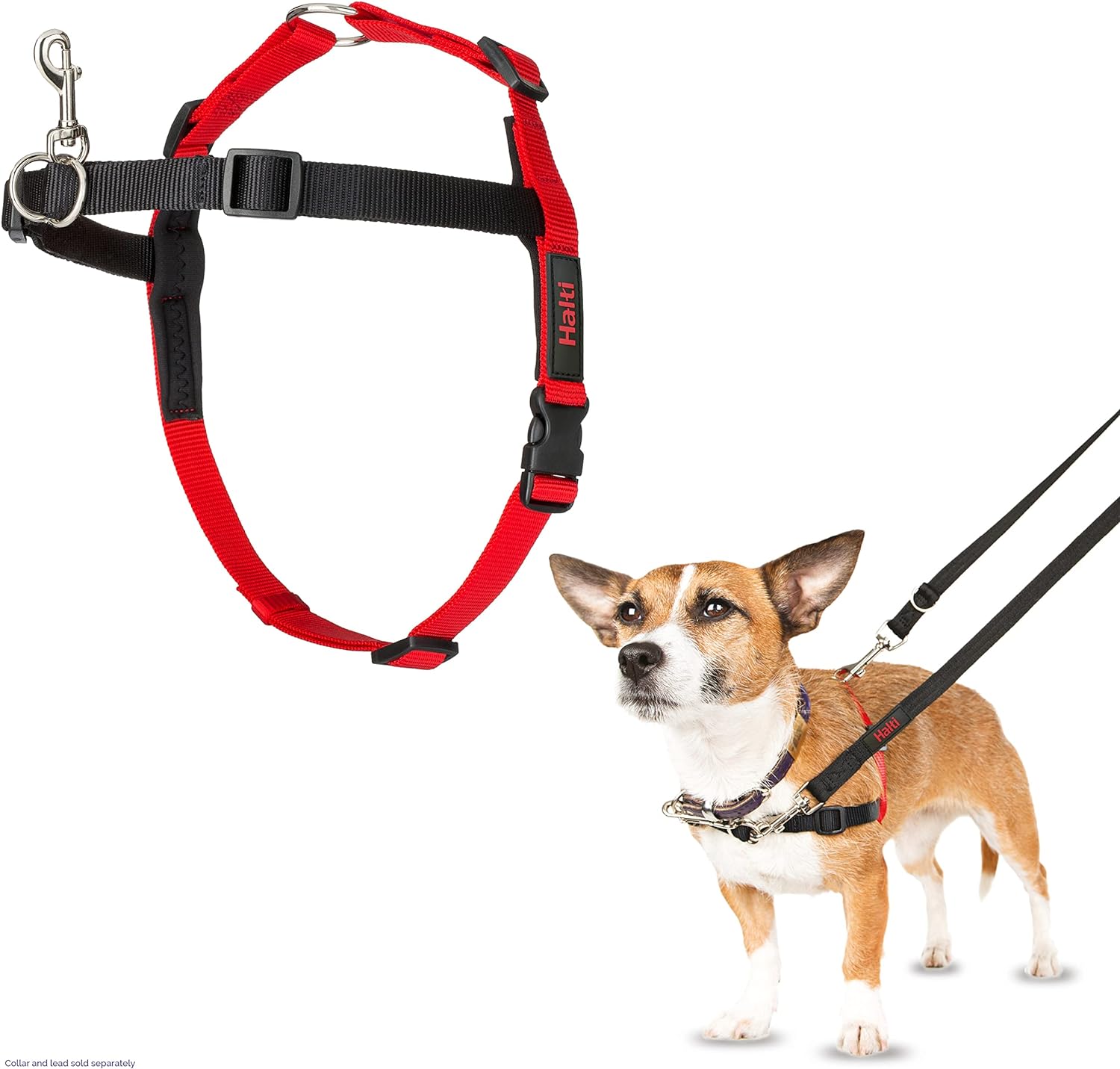 dog harness with name