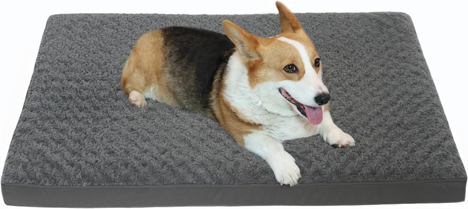 dog beds amazon