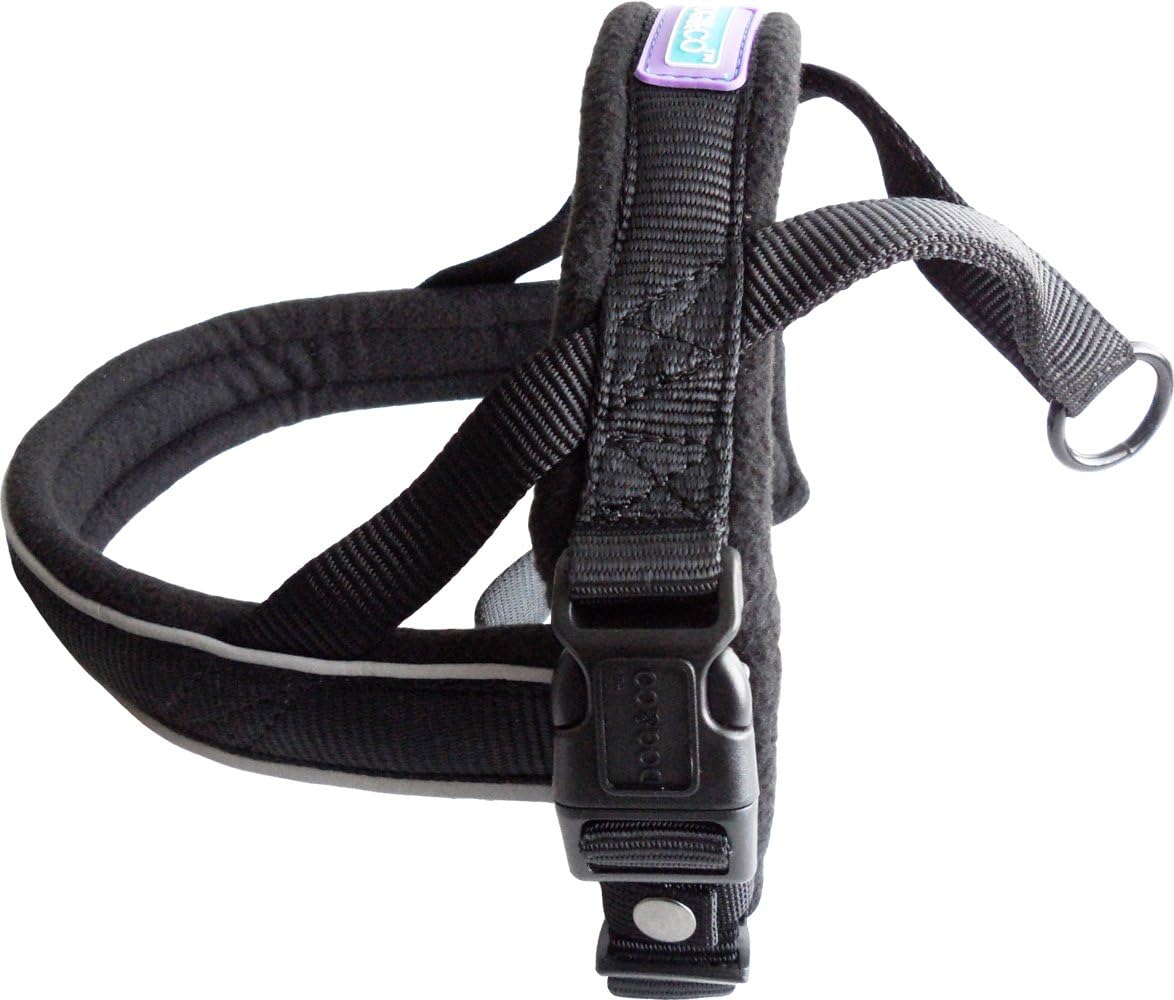 dog harness with name