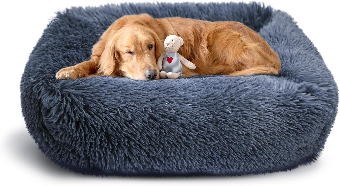 dog beds amazon