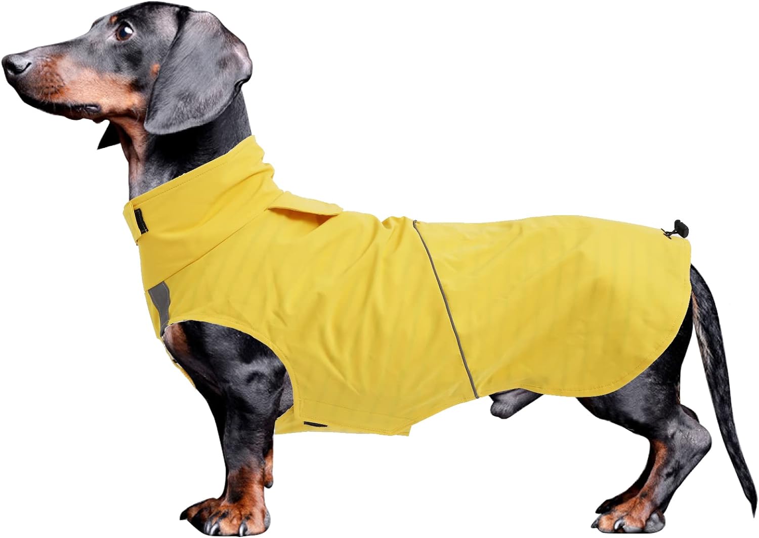 dog jackets waterproof