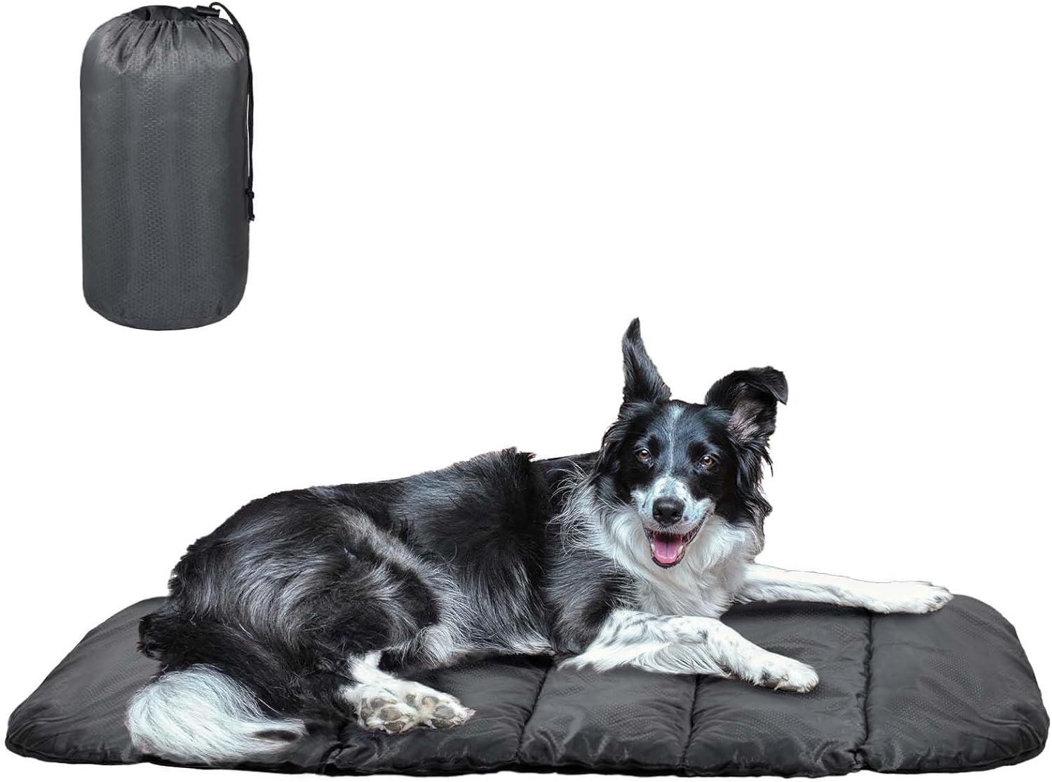 dog beds amazon