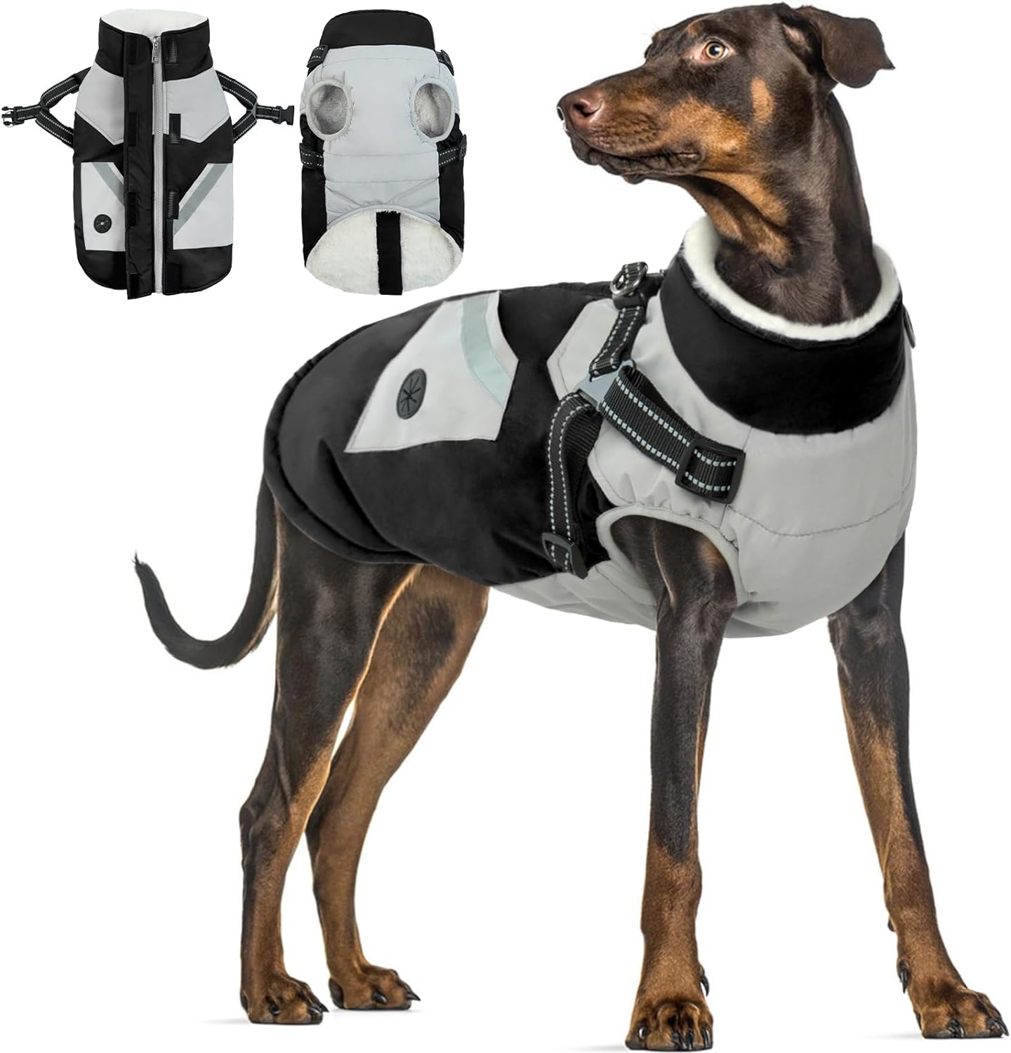 dog jackets waterproof