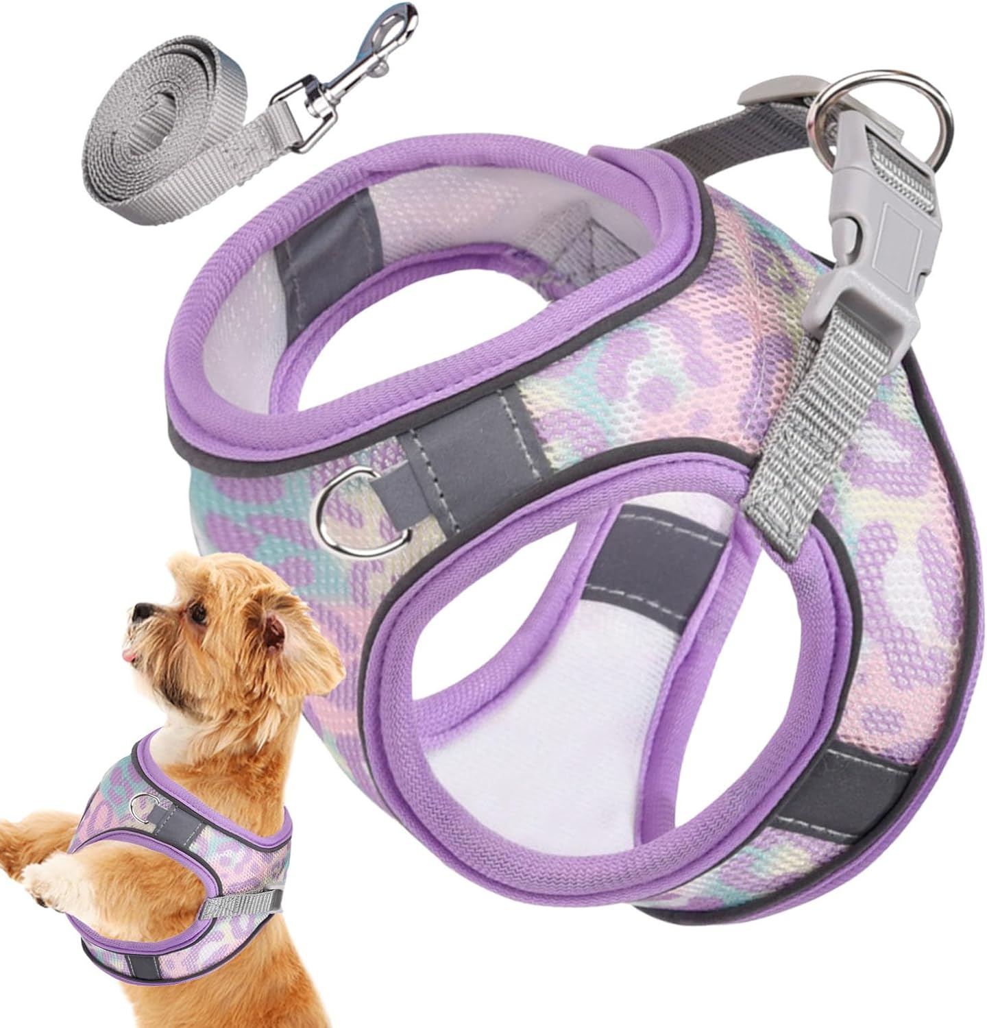 dog harness with name