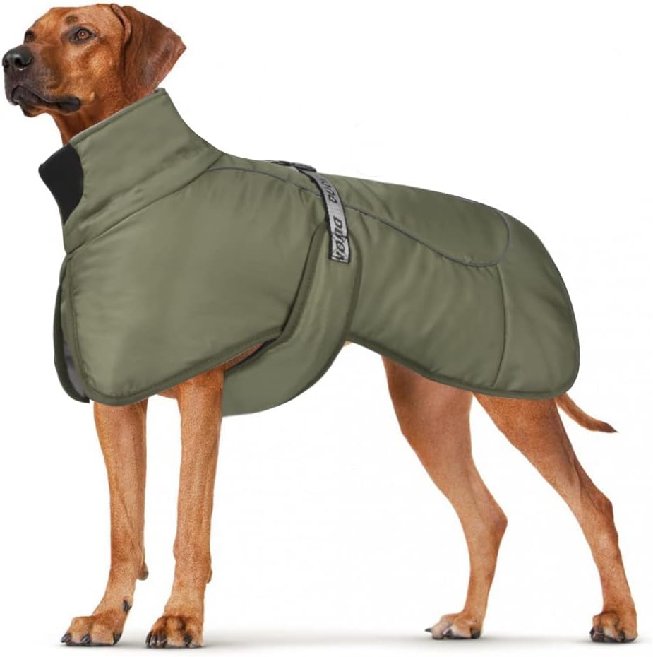 dog jackets waterproof