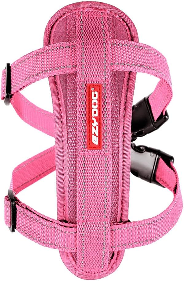 dog harness with name