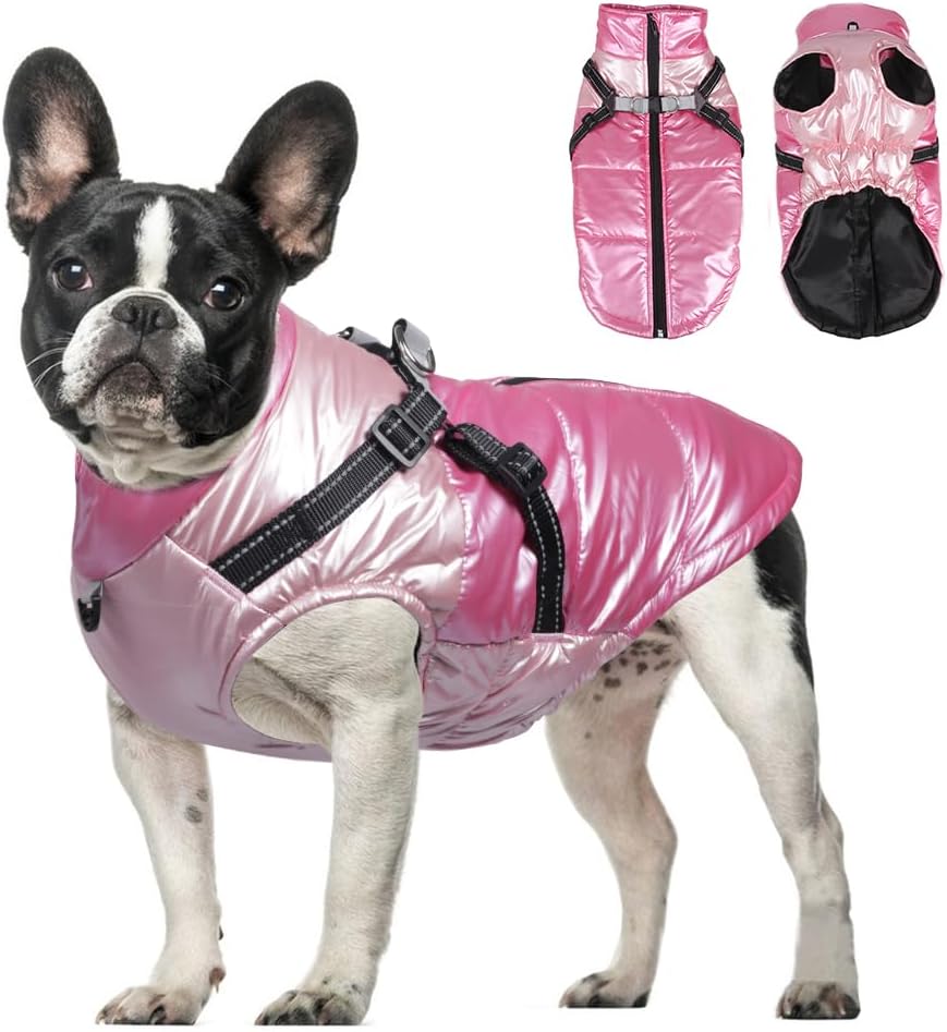 dog jackets waterproof