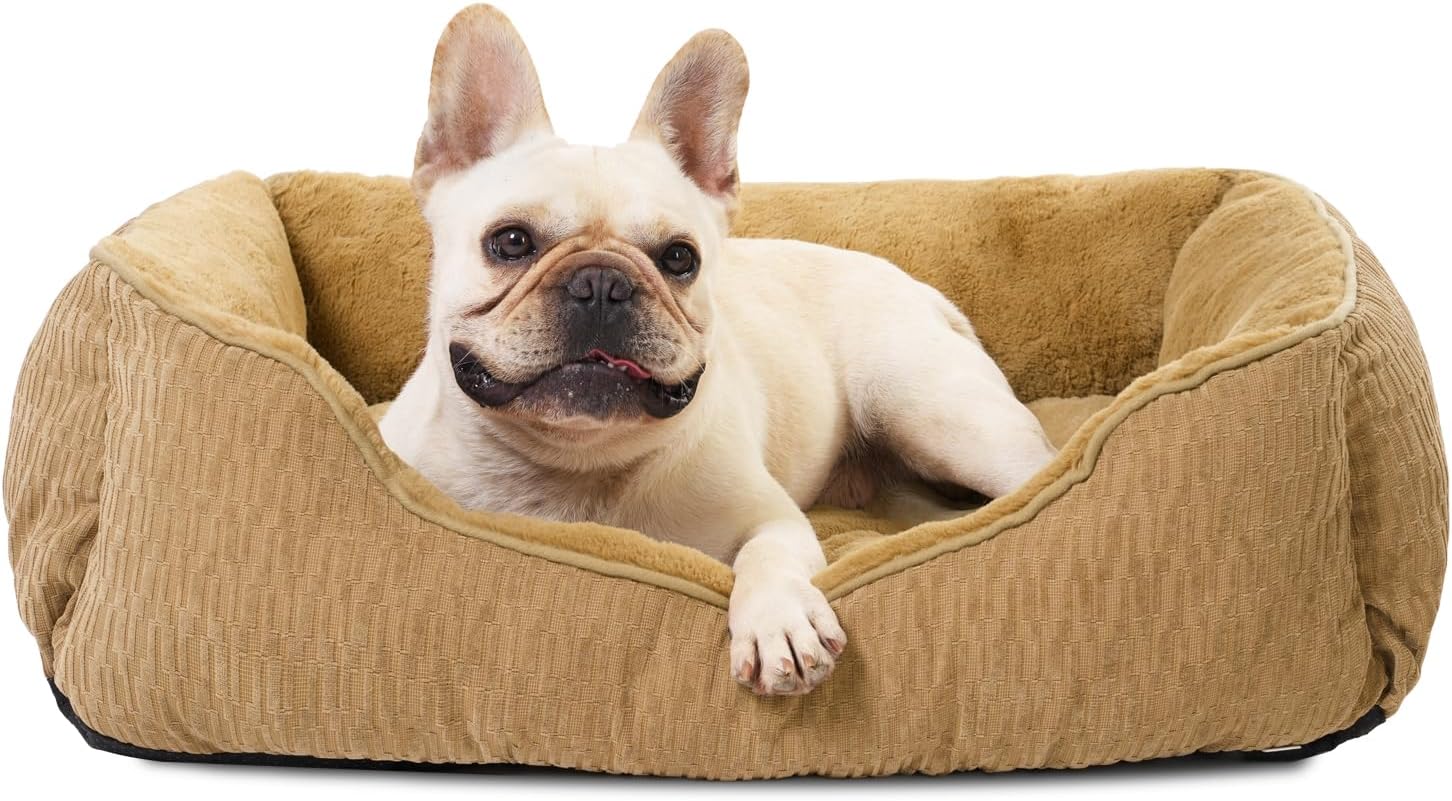 dog beds amazon