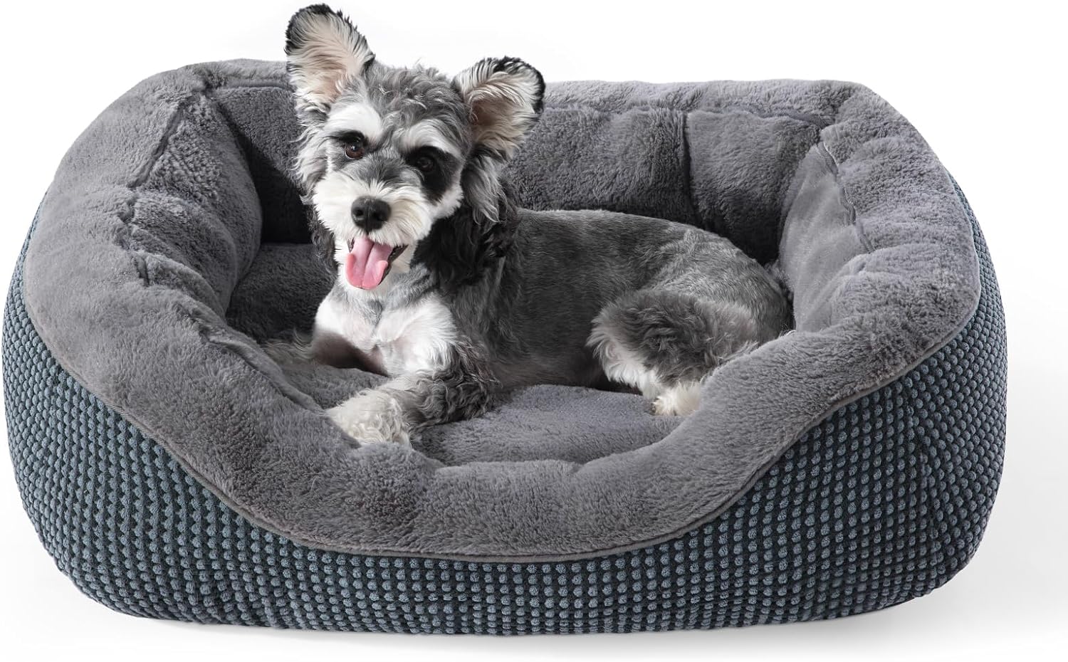 dog beds amazon