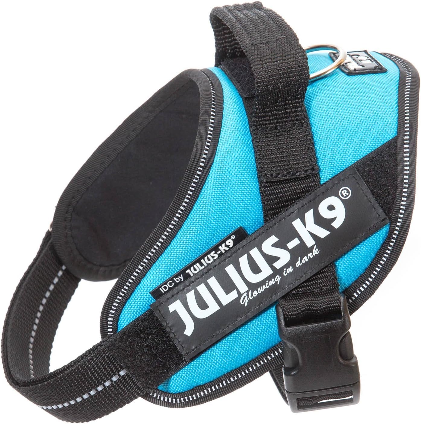 dog harness with name