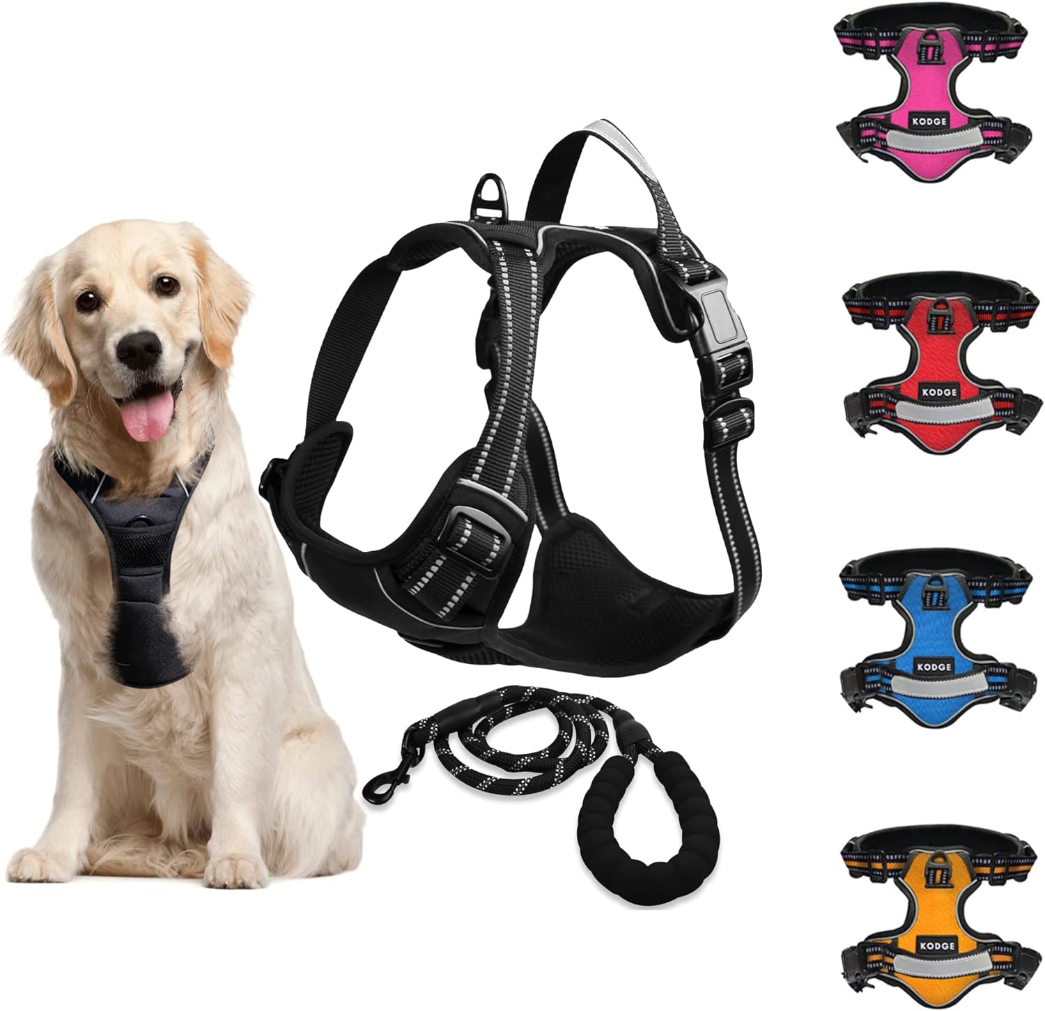 dog harness with name