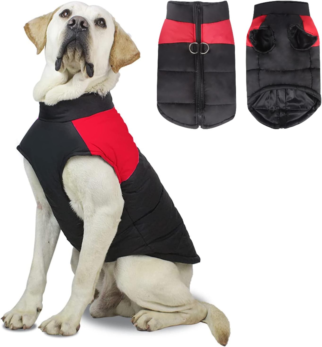 dog jackets waterproof