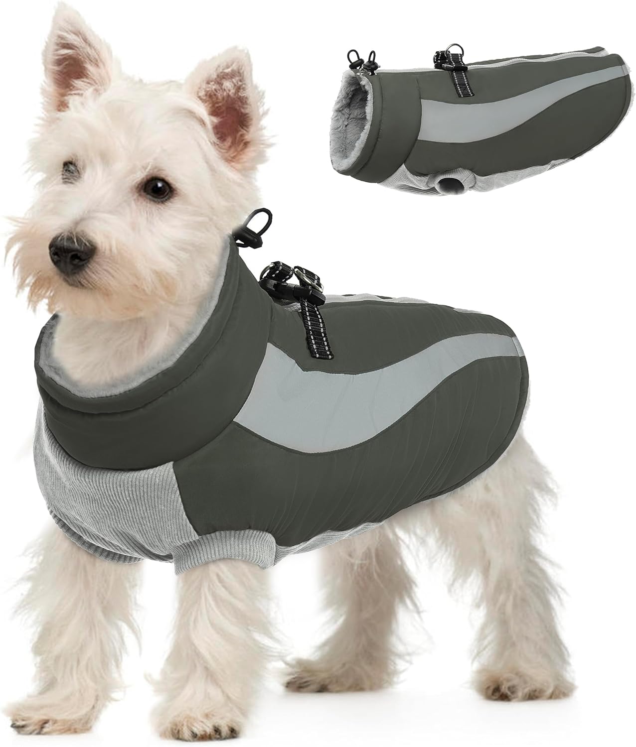 dog jackets waterproof