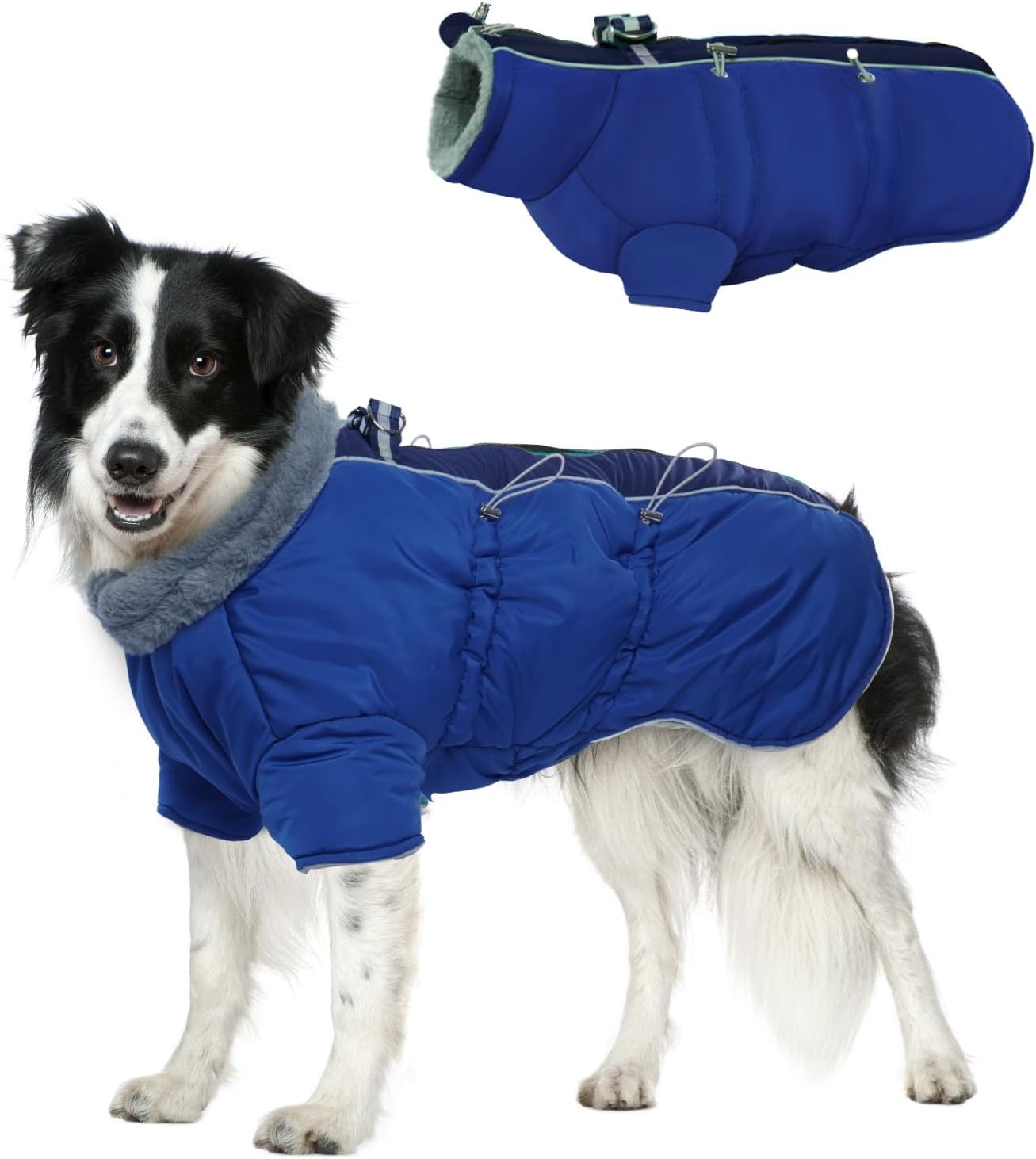 dog jackets waterproof