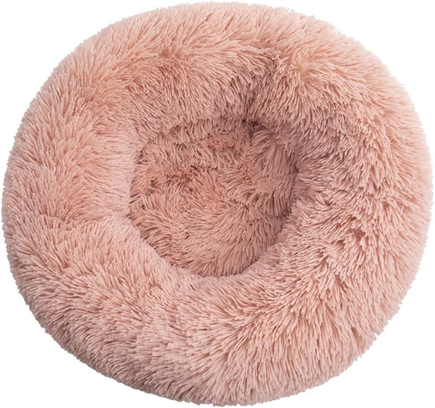 dog beds amazon