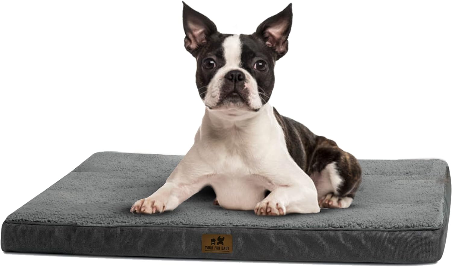 dog beds amazon