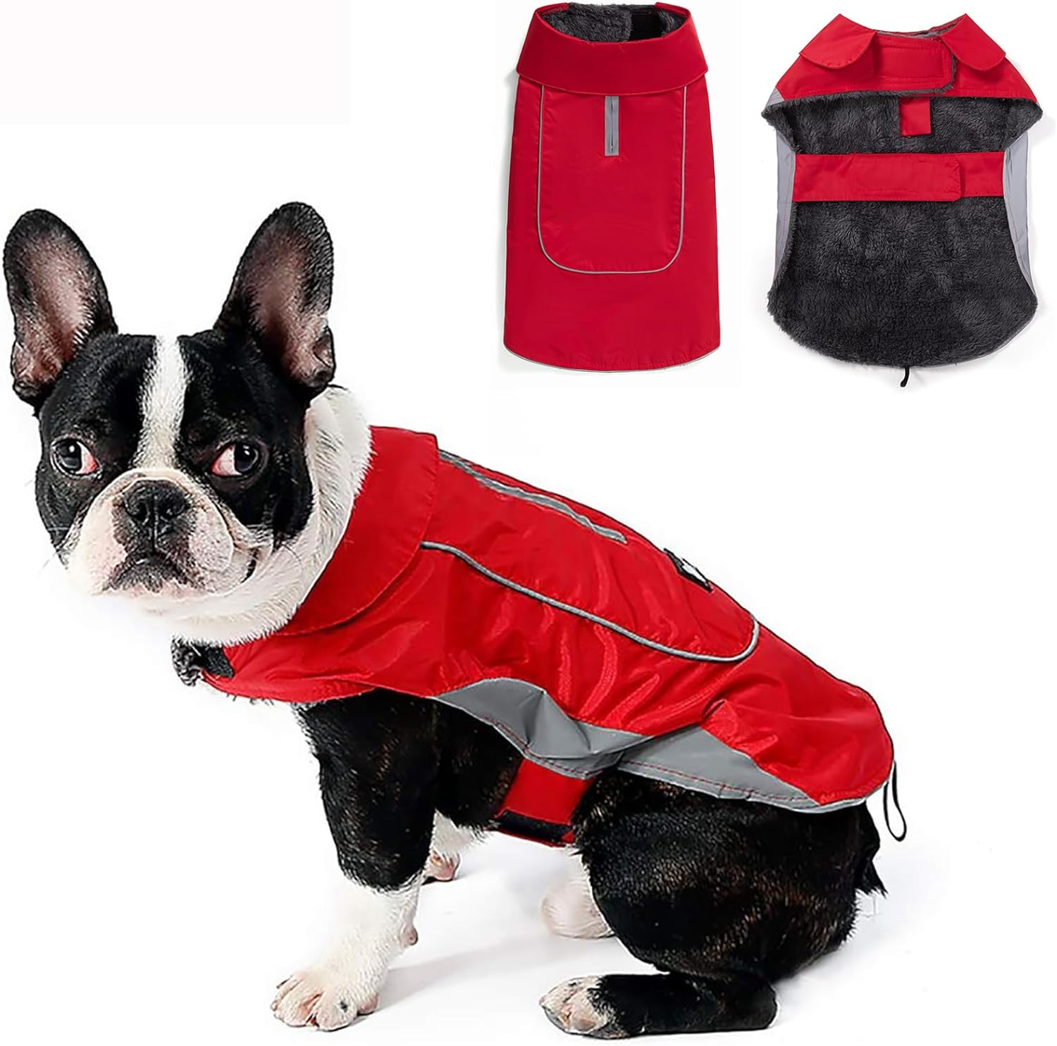 dog jackets waterproof