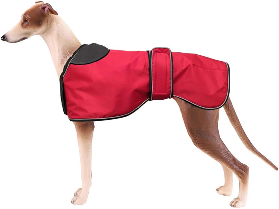 dog jackets waterproof