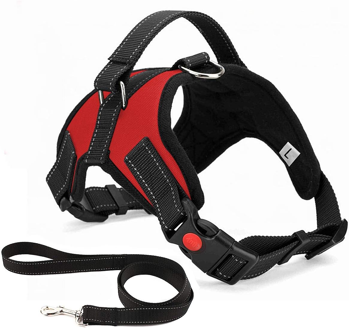 dog harness and leash