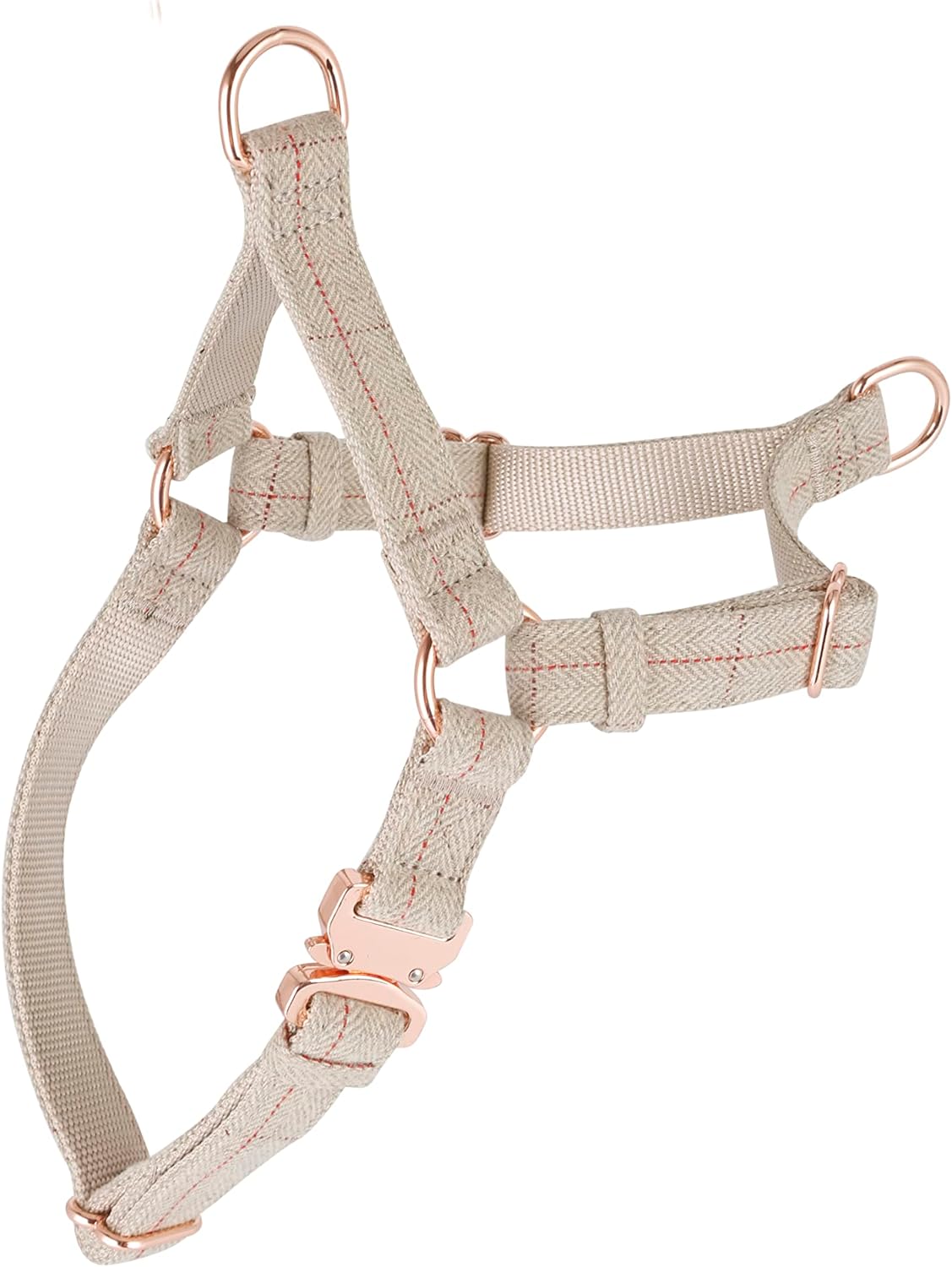 dog harness with name