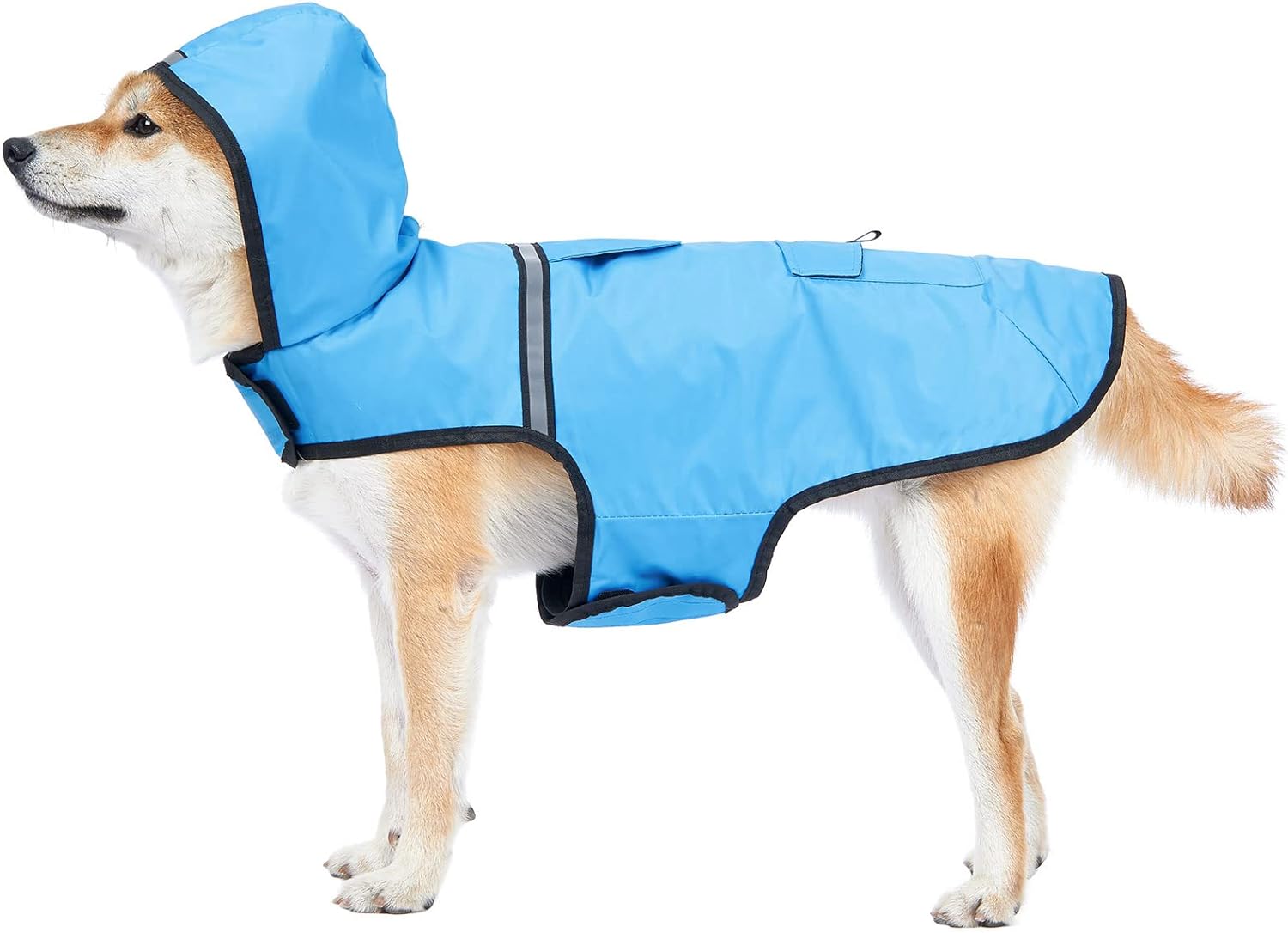 dog jackets waterproof