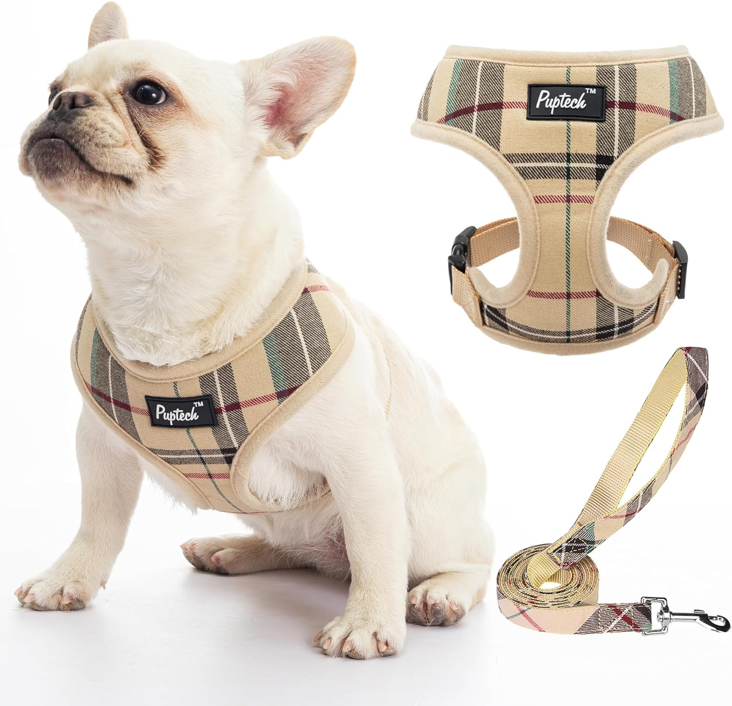 dog harness with name