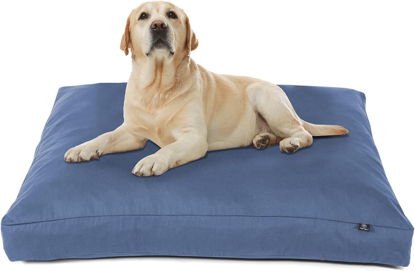 dog beds amazon