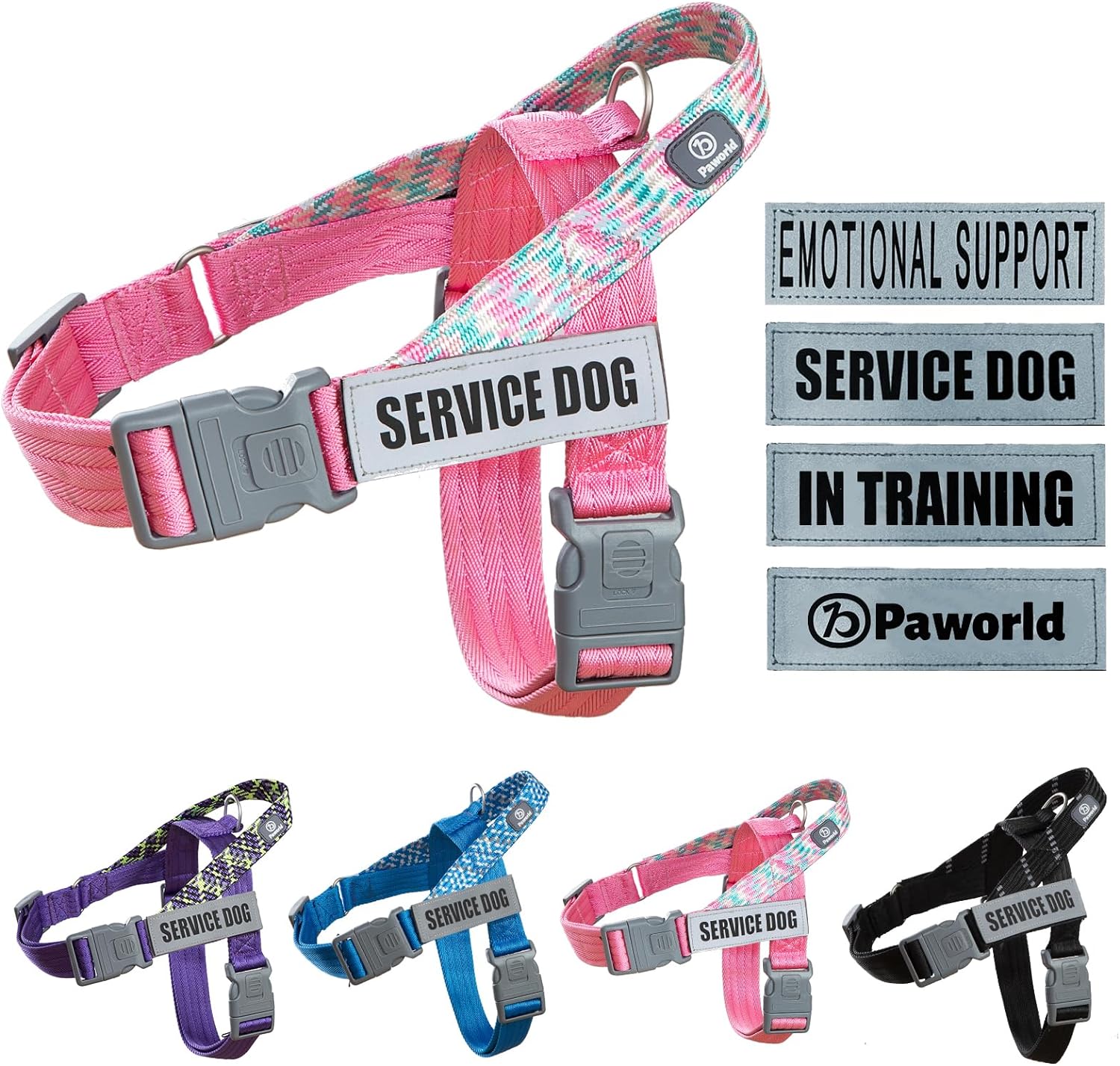 dog harness with name