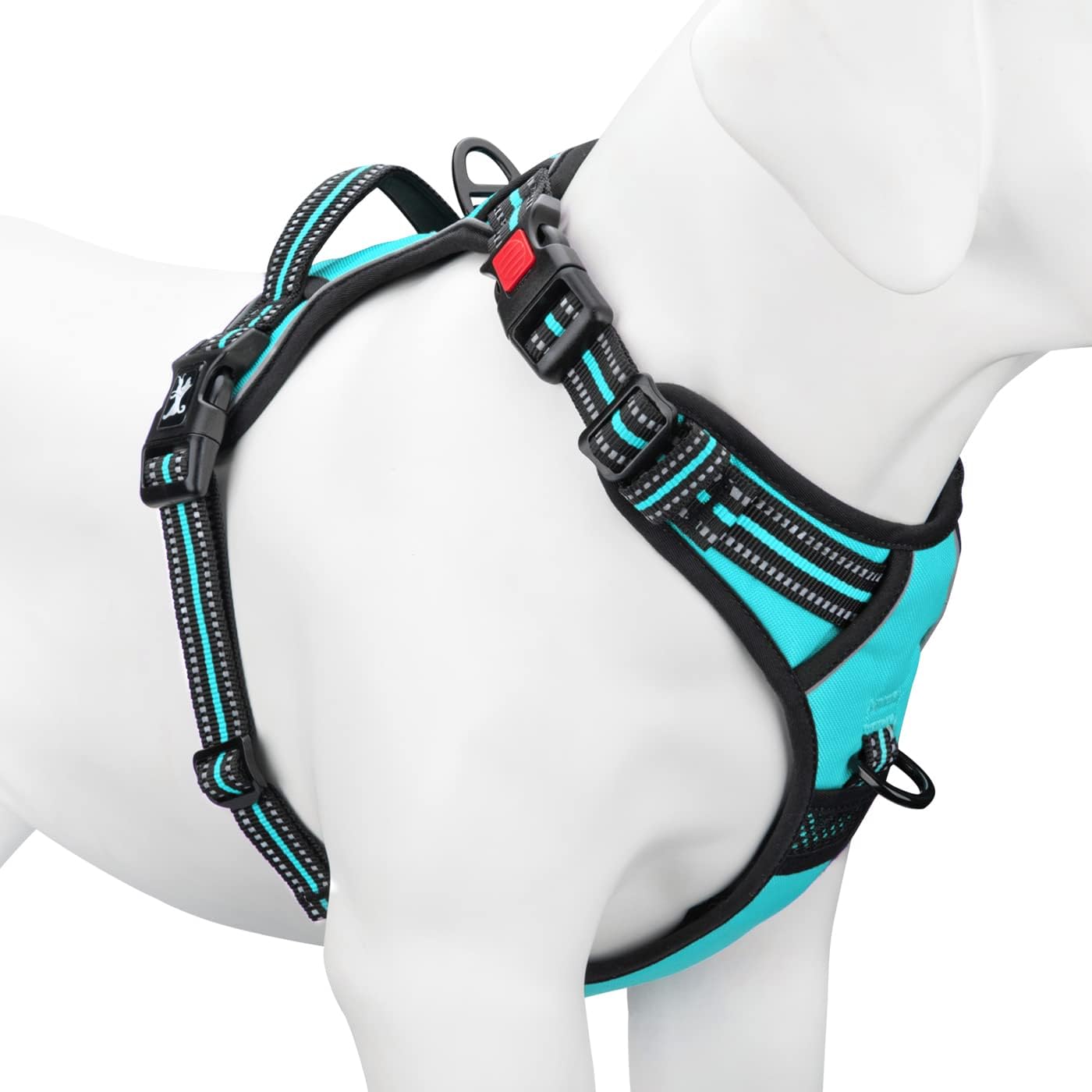 dog harness with name