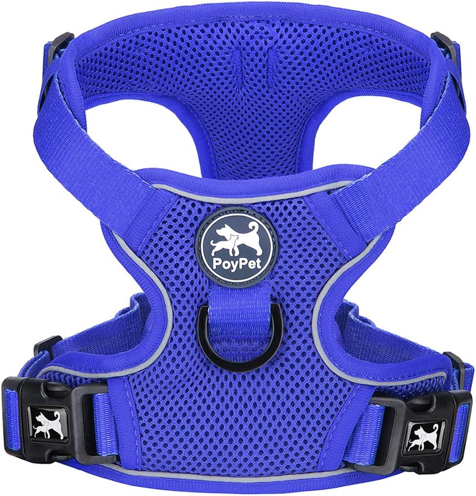 dog harness with name