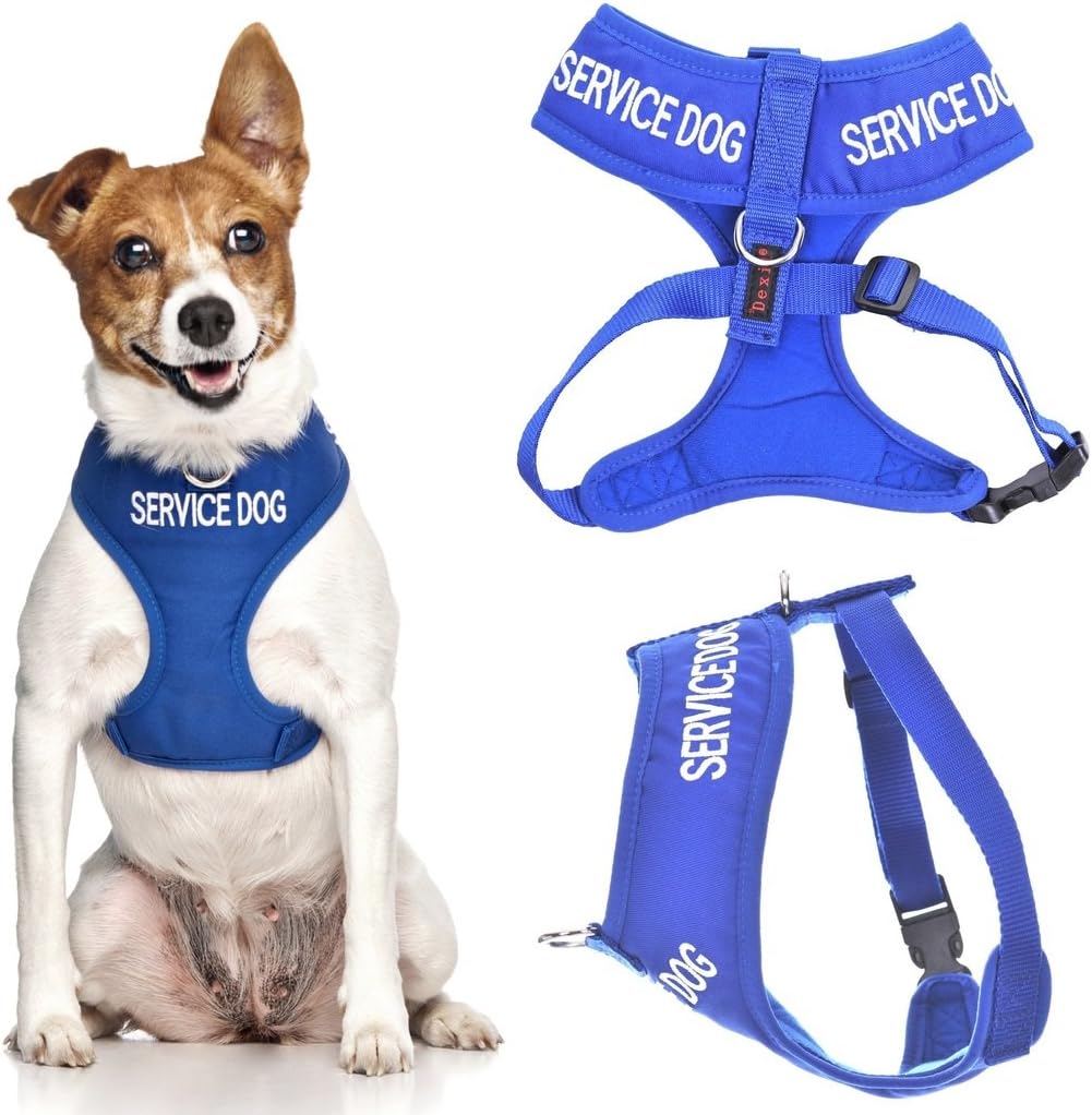 dog harness with name