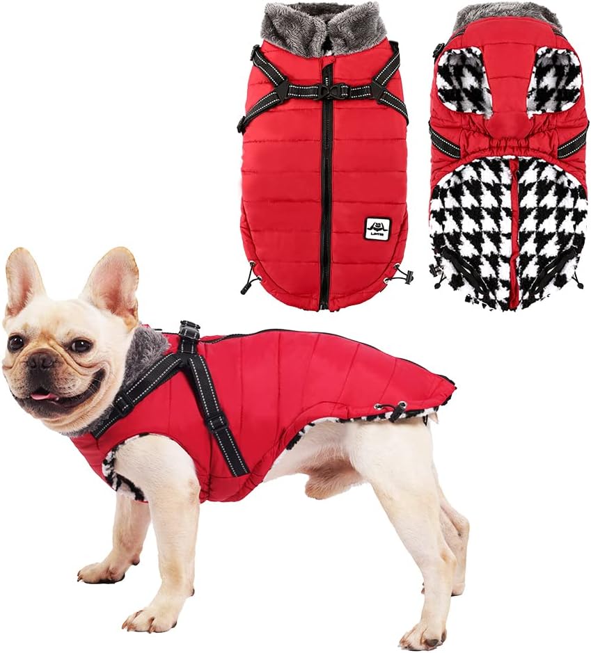 dog jackets waterproof