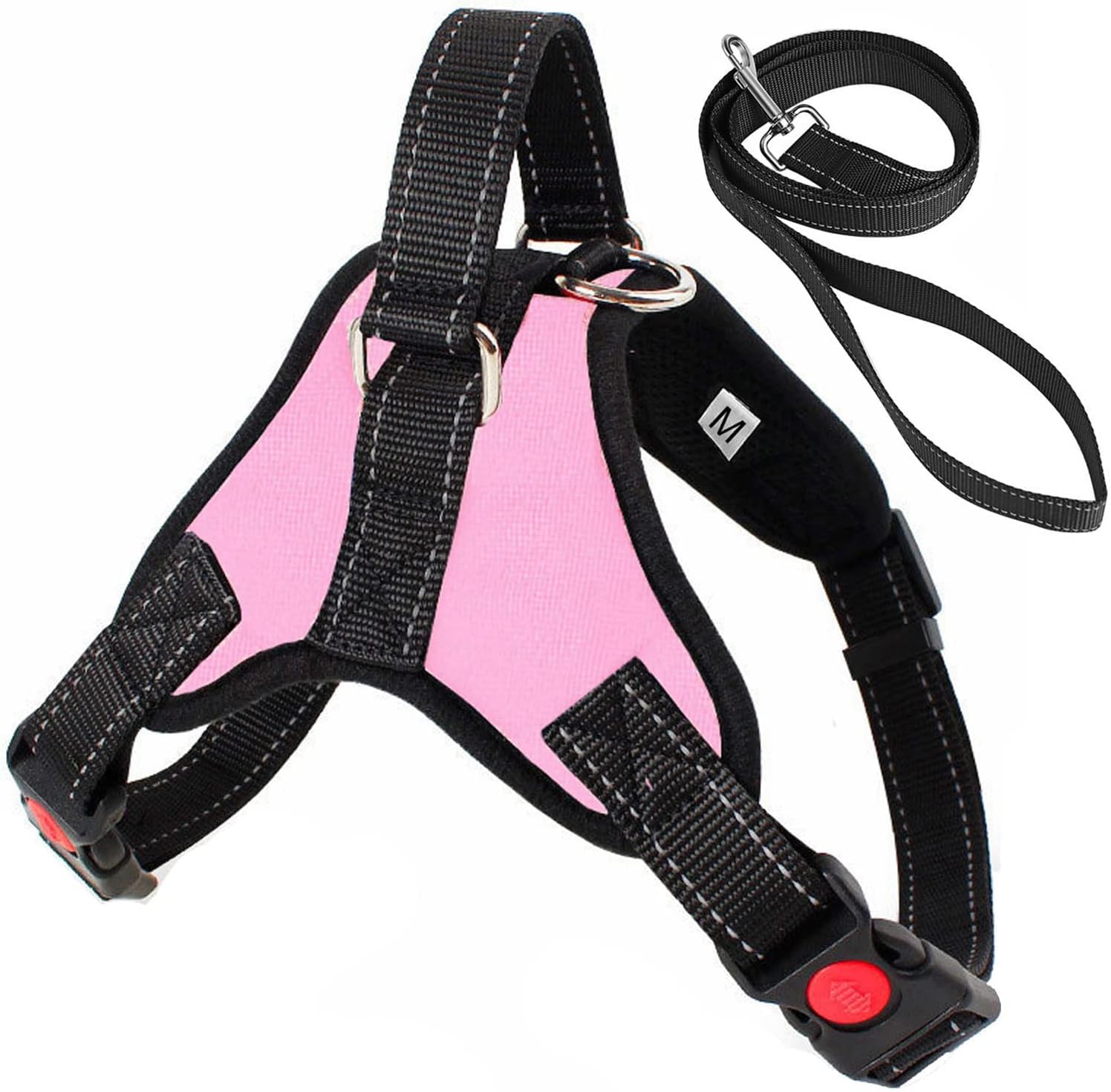 dog harness with name