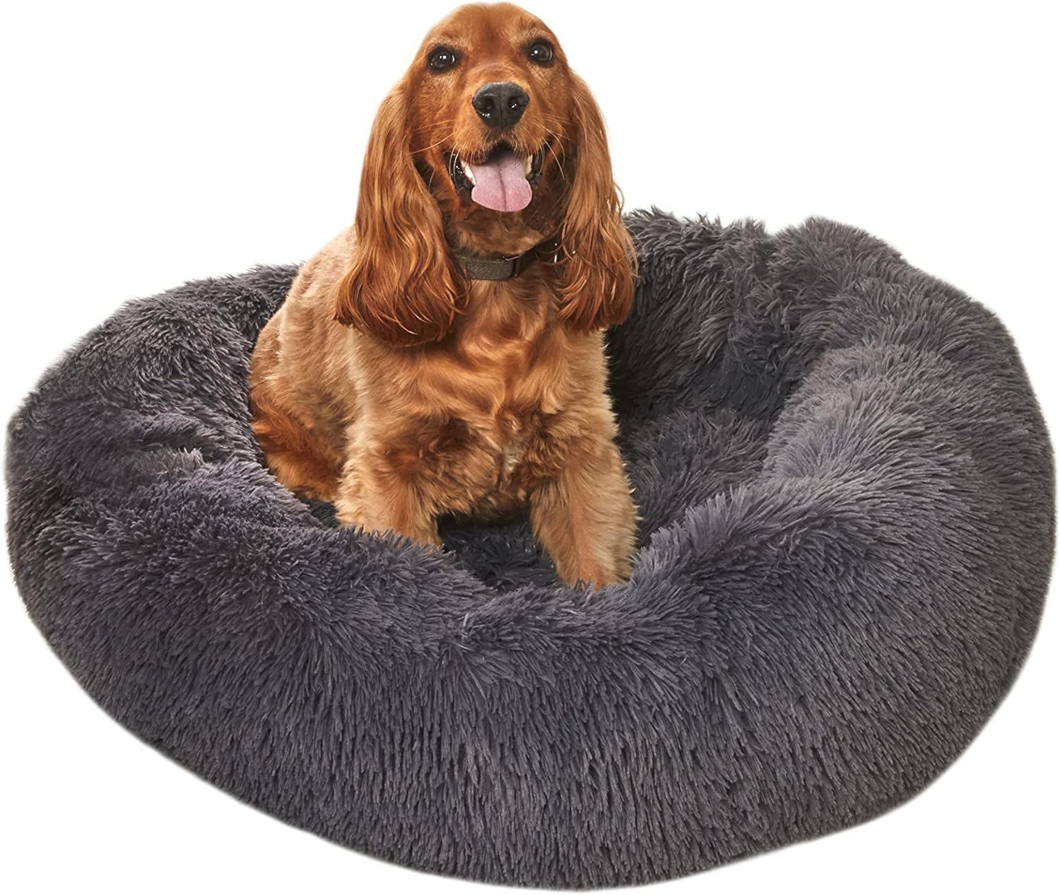 dog beds amazon