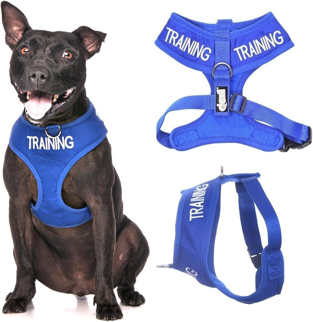 dog harness with name