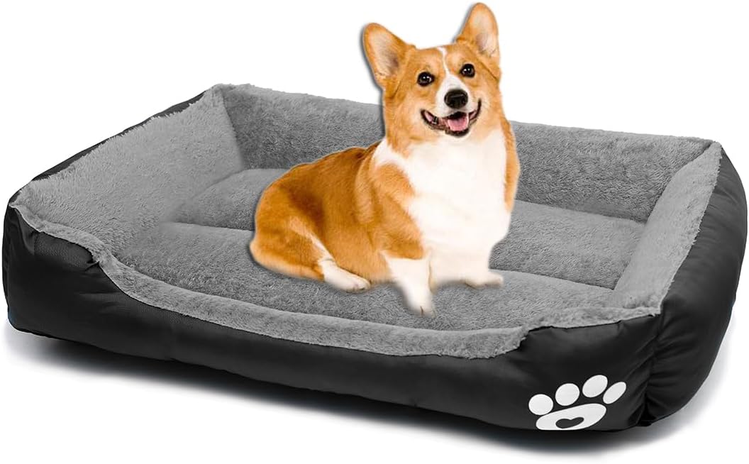 dog beds amazon