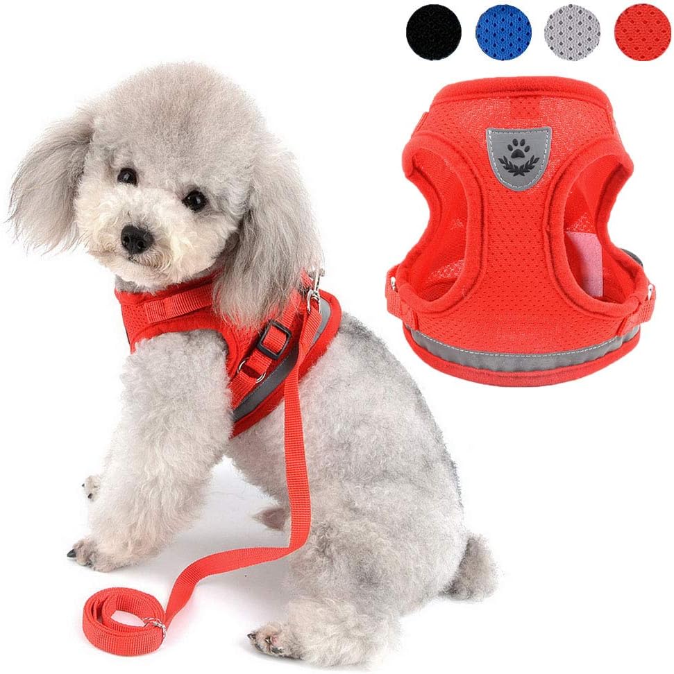 dog harness with name