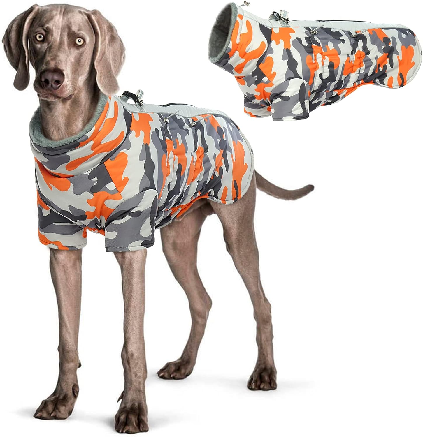 dog jackets waterproof