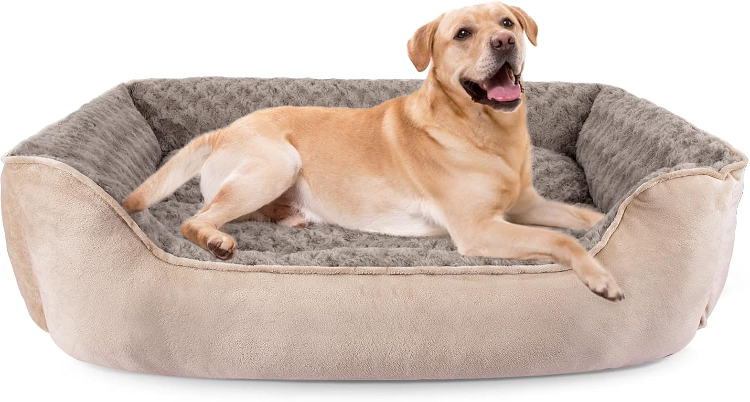 dog beds amazon