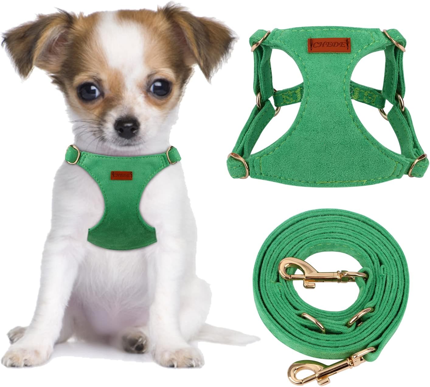 dog harness with name