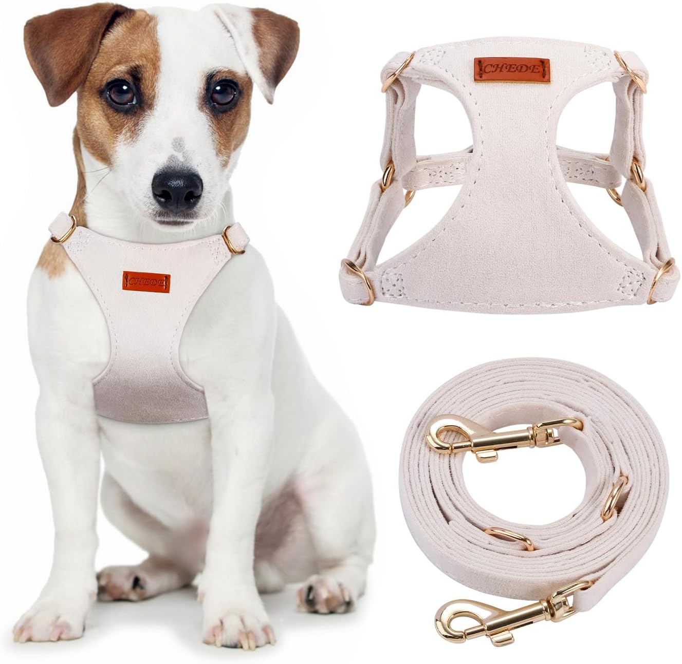 dog harness with name