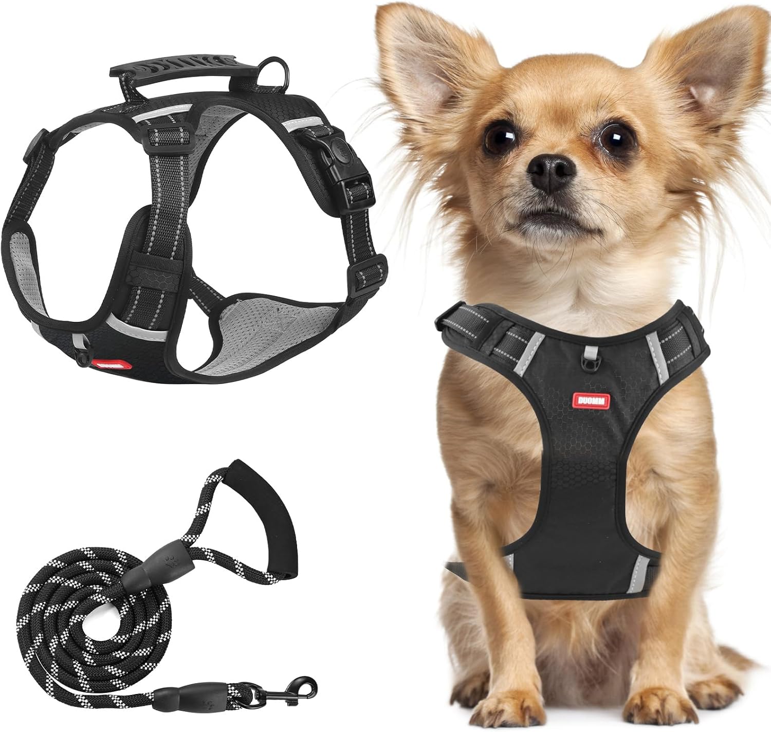 dog harness with name